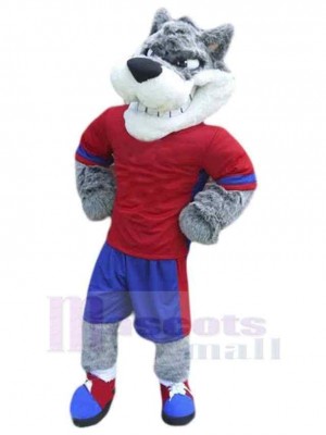 Wolf mascot costume