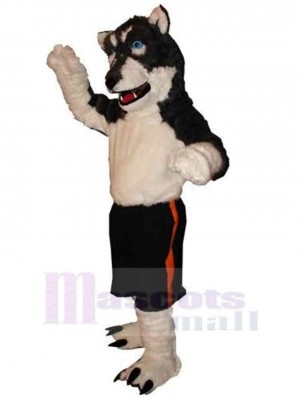 Wolf mascot costume