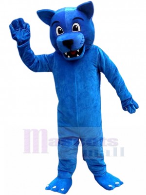 Wolf mascot costume