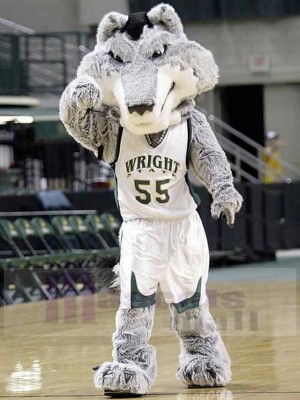 Wolf mascot costume