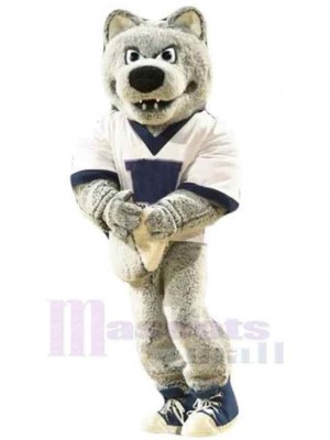 Wolf mascot costume