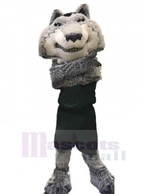 Wolf mascot costume