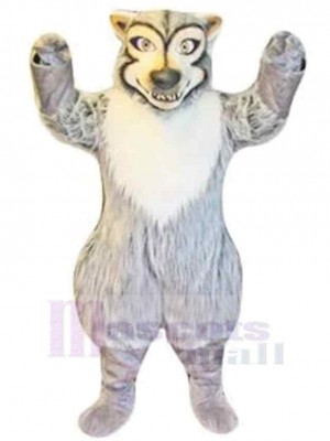 Wolf mascot costume