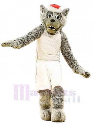Wolf mascot costume