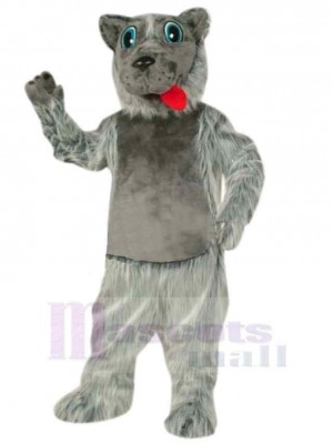Wolf mascot costume