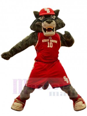 Wolf mascot costume