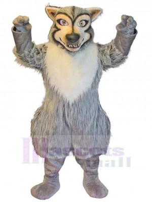 Wolf mascot costume