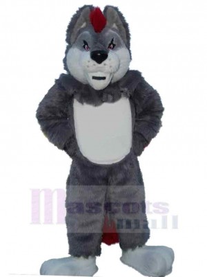 Wolf mascot costume