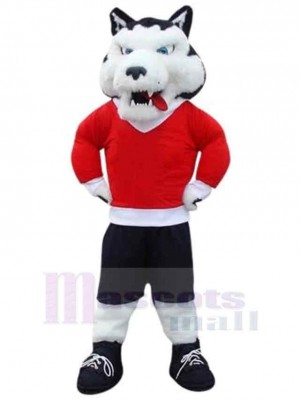 Wolf mascot costume