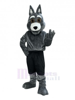 Coyote mascot costume