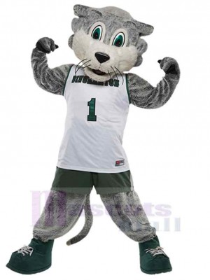 Wolf mascot costume