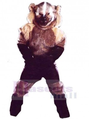 Wolf mascot costume