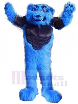Wolf mascot costume