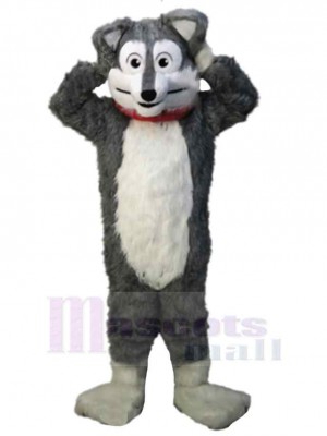 Wolf mascot costume