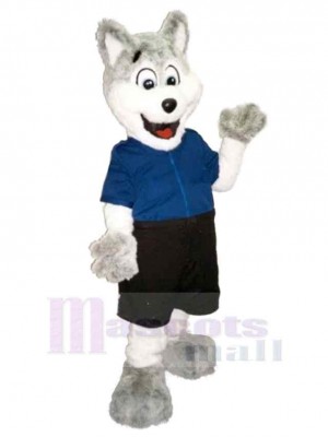 Cute White and Grey Wolf Mascot Costume Animal in Blue T-shirt