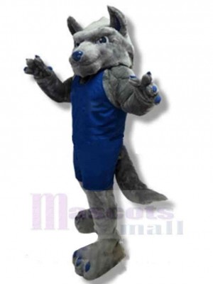Strong College Wolf Mascot Costume Animal in Blue Sportswear