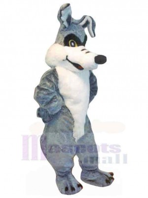 Cartoon Gray Wolf Coyote Mascot Costume Adult