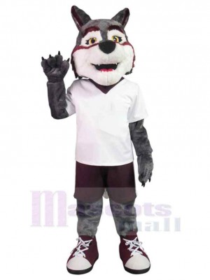 Wolf mascot costume