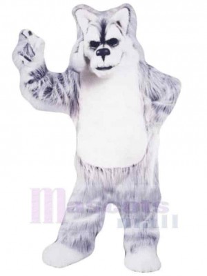 Gray and White Older Wolf Mascot Costume Animal