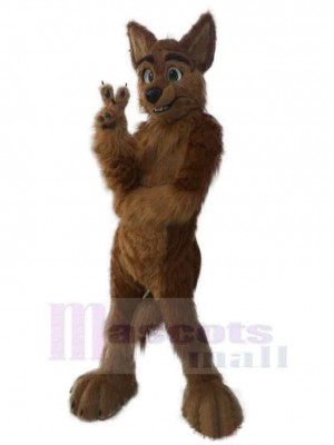 Wolf mascot costume