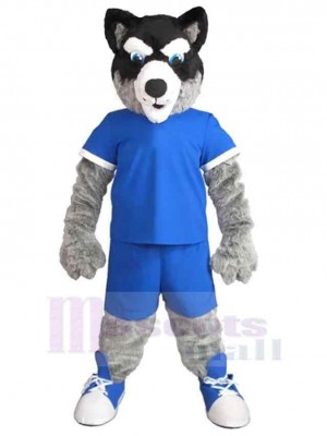 Long Wool Wolf Mascot Costume Animal in Blue Sportswear
