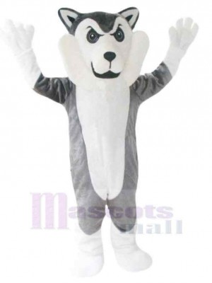 Wolf mascot costume
