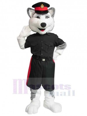 Wolf mascot costume
