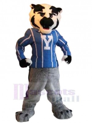 Tiger mascot costume