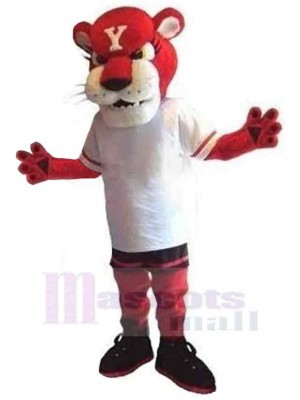 Tiger mascot costume