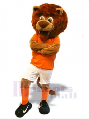 Lion mascot costume