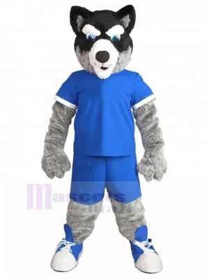 Black and Gray Husky Dog Mascot Costume in Blue Jersey Animal