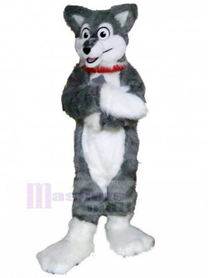 Gray and White Husky Dog Fursuit Mascot Costume with Red Collar Animal