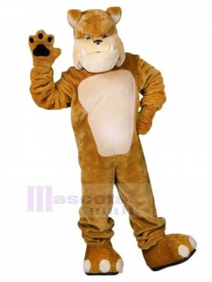 Dog mascot costume