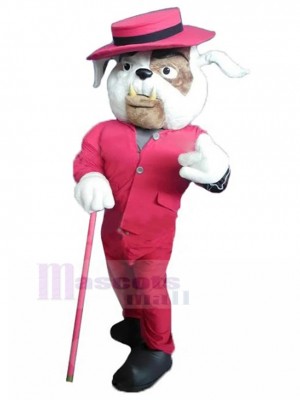 Dog mascot costume