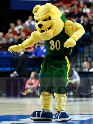 Bulldog mascot costume