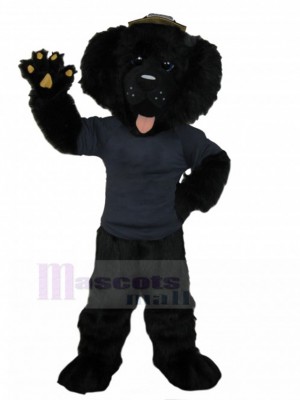 Black Poodle Dog Mascot Costume in Navy Uniform Animal