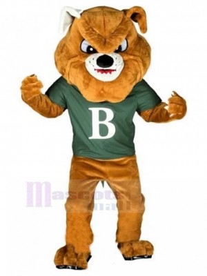 dog mascot costume