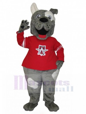 dog mascot costume