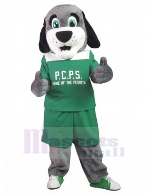 Patriots School Grey Dog Mascot Costume in Green Shirt Animal