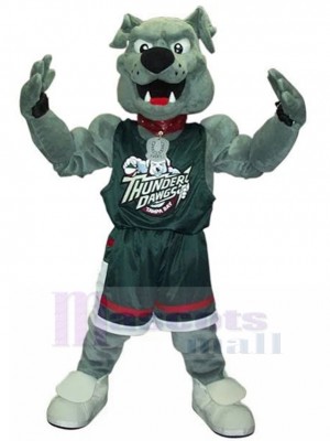 Muscular Grey Bulldog Thunder The Dawg Mascot Costume Animal