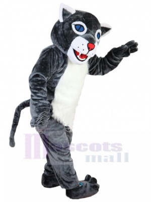 Wildcat mascot costume