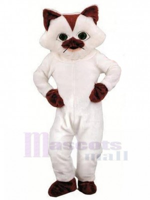 cat mascot costume