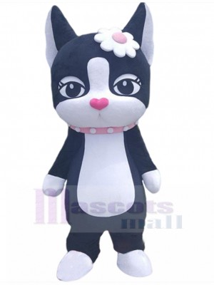 cat mascot costume