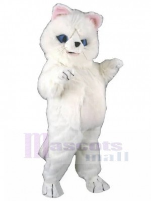 cat mascot costume