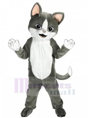 cat mascot costume