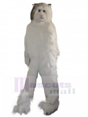 cat mascot costume