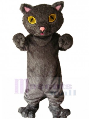 cat mascot costume