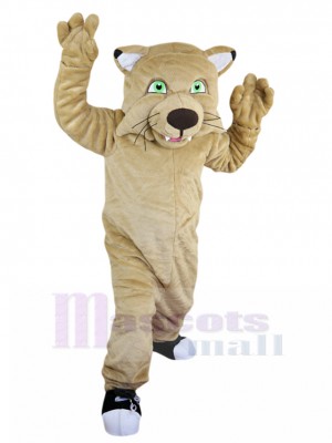 wildcat mascot costume