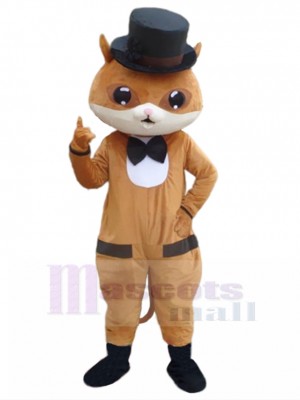 cat mascot costume