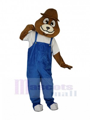 mole mascot costume